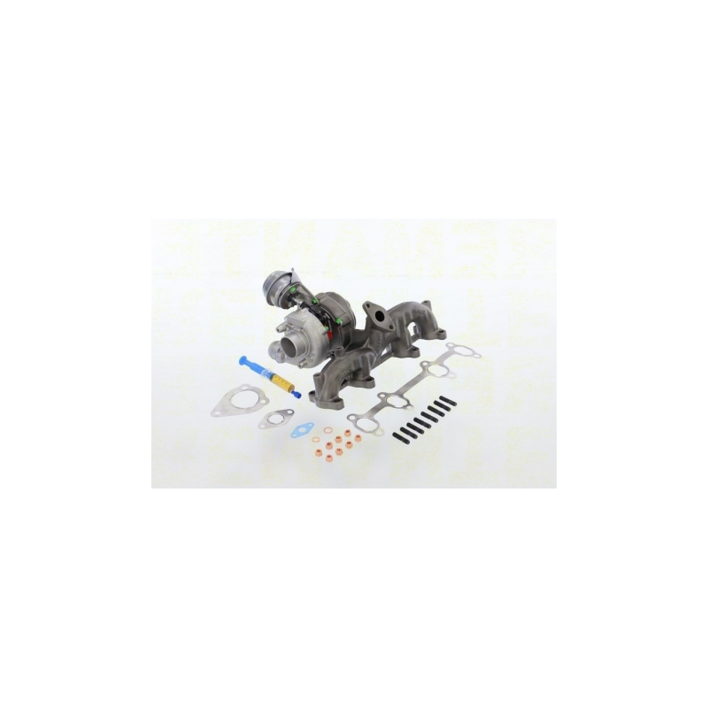 Turbo pour SKODA Fabia 1 (6Y2) 1.4 TDI 75 CV 701729-5010S
